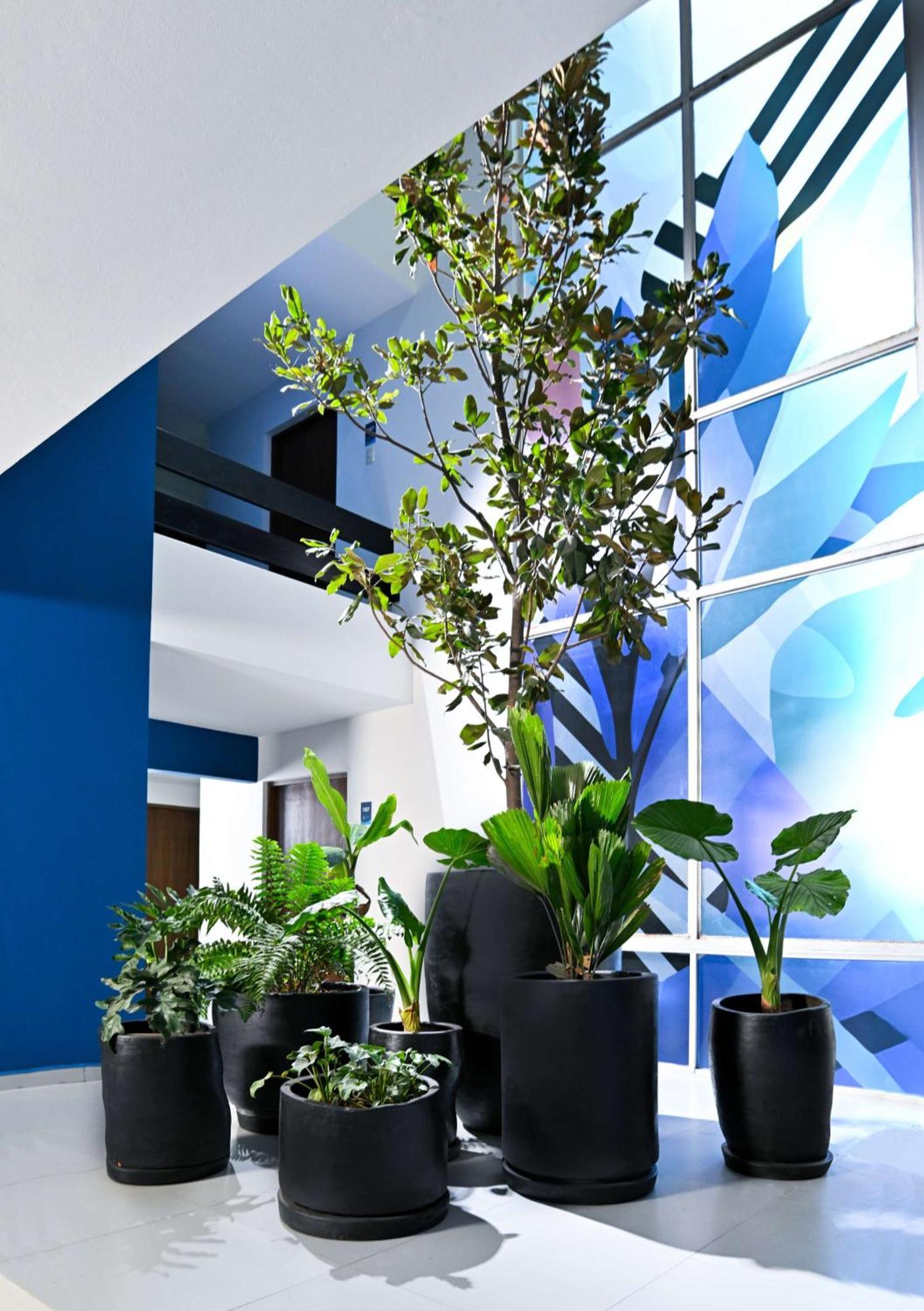 Vista Express Guadalajara Expo Surestay Collection By BW Запопан Екстериор снимка